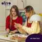 Preview: Okto Sensory Art Sukkulenten