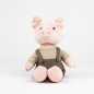 Preview: Plüsch Schweinchen Bart in Kleidern 26 cm