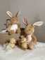 Preview: Plüsch Hase Bianca 15 cm