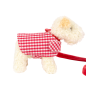 Preview: Hund Eliot klein mit Leine und Mantel in Seiltasche