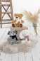Preview: Hund Elvis mit Halstuch 35 cm