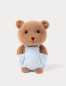 Preview: Latzhosen-Teddy sitzend 22  cm