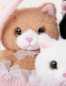 Preview: Teddy Cats Geschenkskorb mit 3 Kätzchen