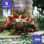 Preview: Eco 3D Puzzle - Stegosaurus (beweglich), 154 Teile