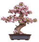 Preview: Holzbausatz 'Sakura Bonsai'