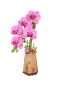 Preview: Holzbausatz Orchidee