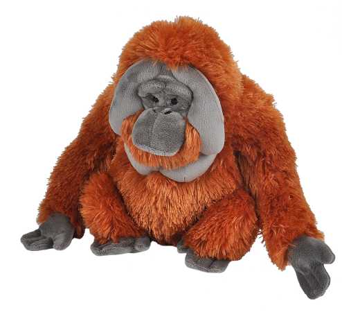 Plüsch Orangutan 30 cm Cuddlekin