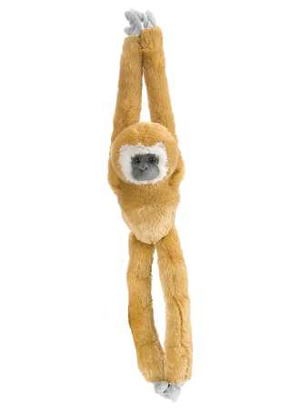 Plüsch hängendes Weisshand-Gibbon-Äffchen