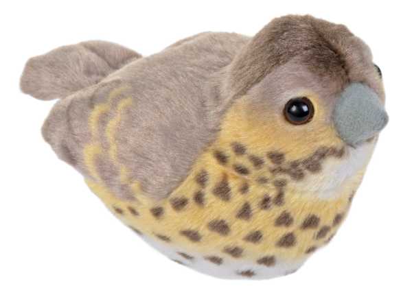 Plüsch Singdrossel singend RSPB Birds 18 cm