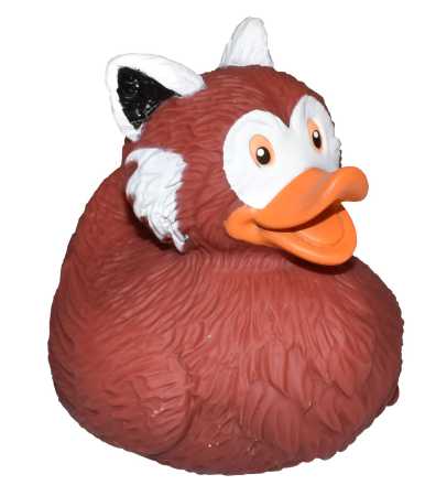 Badeente Roter Panda 10 cm