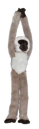 Plüsch hängende Grünmeerkatze 50 cm