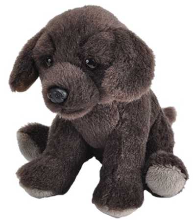 Plüsch Mini Schoko Labrador 13 cm