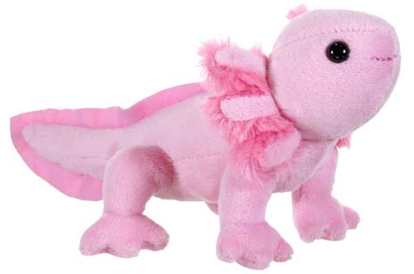 Plüsch Schwanzlurch 13 cm Pocketkins Eco