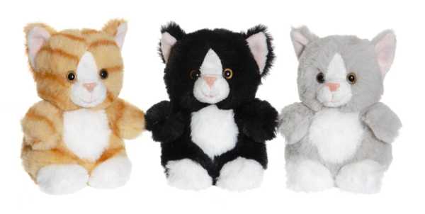 Teddy Kätzchen 12 cm, 3-fach sortiert, im Display