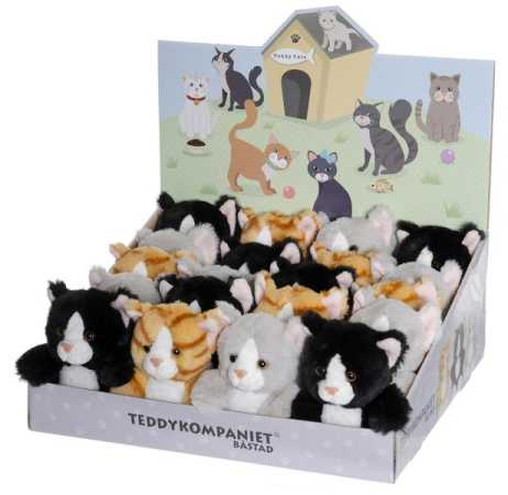 Teddy Kätzchen 12 cm, 3-fach sortiert, im Display
