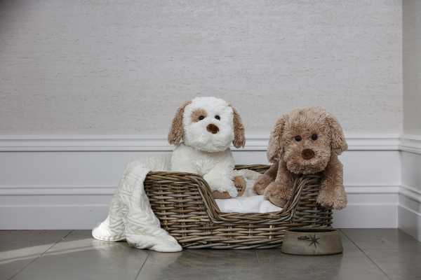 Plüsch Hund Selma creme/braun 35 cm