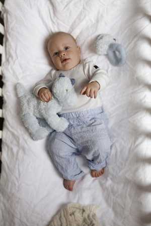 Plüsch Dino blau 30 cm