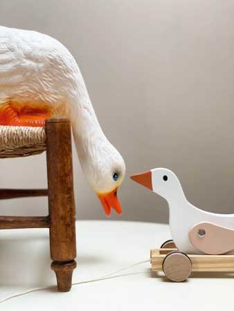 Nachtlicht Ente pickend