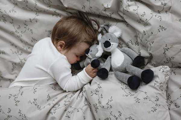 Schmusetuch Koala 35 cm