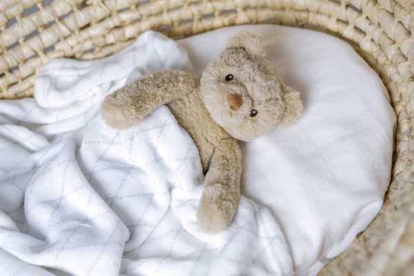 Plüsch Teddy Sven 30 cm mit Fleecedecke