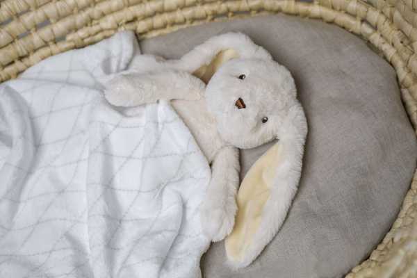 Plüsch Hase Svea 30 cm mit Fleecedecke