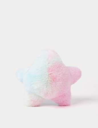 Seestern regenbogenfarbig 22  cm