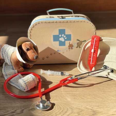 Tierarzt-Set im Koffer