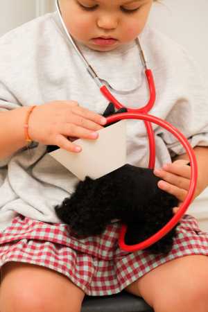 Tierarzt-Set im Koffer Hund Walter