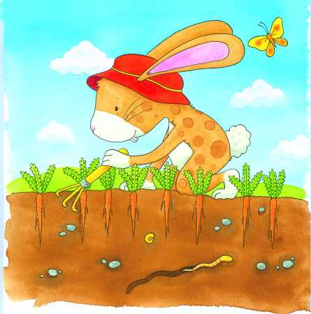 Schichtenpuzzle Gemüsebeet