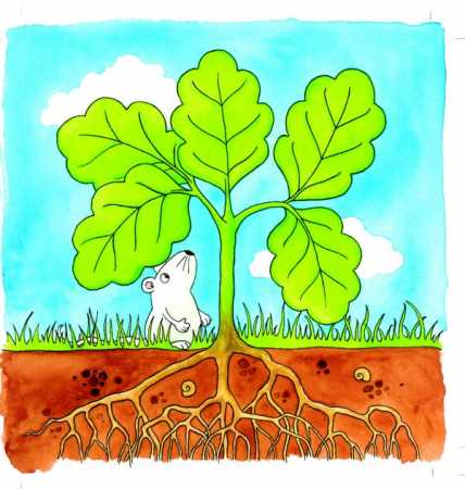 Schichtenpuzzle Der Baum