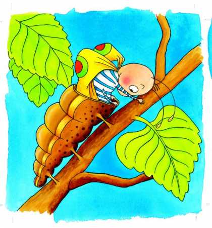 Schichtenpuzzle Die Raupe