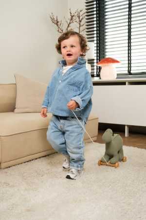 Nachziehtier Dino Victor