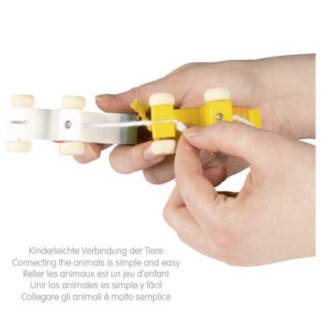 Geburtstagskarawane 70 cm