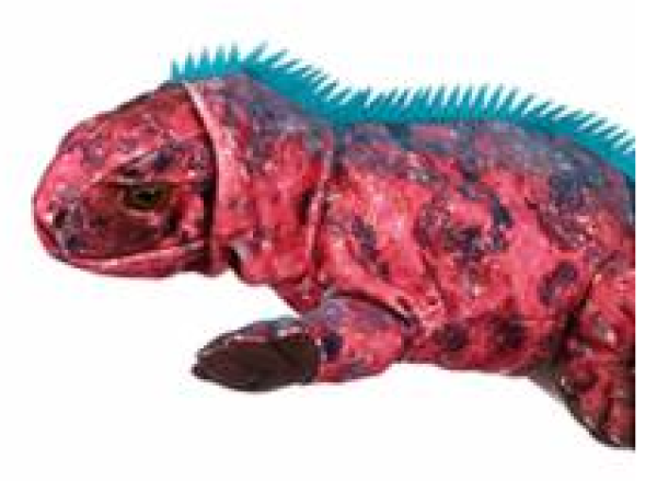 Handpuppe Leguan 26 - 28 cm