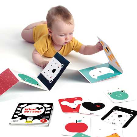 Baby Buch "High Contrast" 0m+/3m+/6m+ / 2 Bücher + 7 doppelseitige Karten