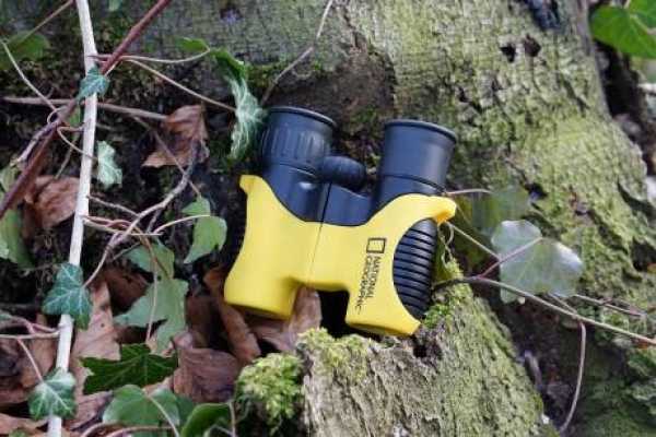 6x21 Binoculars