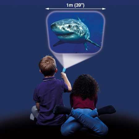 Taschenlampe & Projektor Haifische