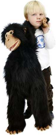Large Primates