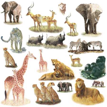 Zootiere