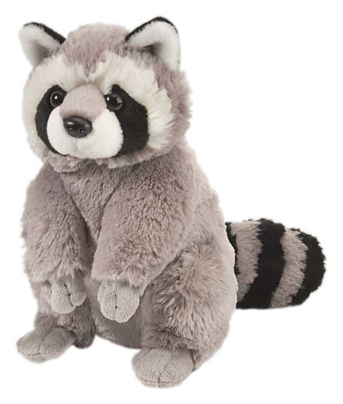 Plüsch Waschbär 30 cm Cuddlekin