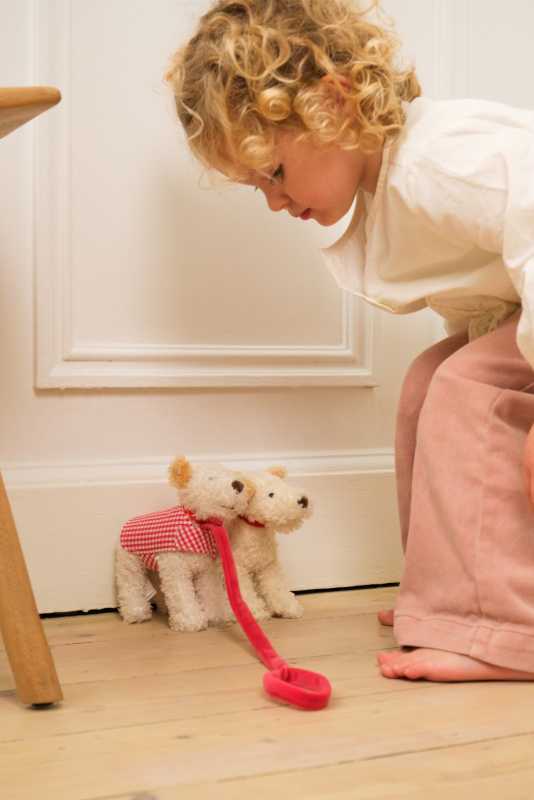 Hund Eliot klein mit Leine und Mantel