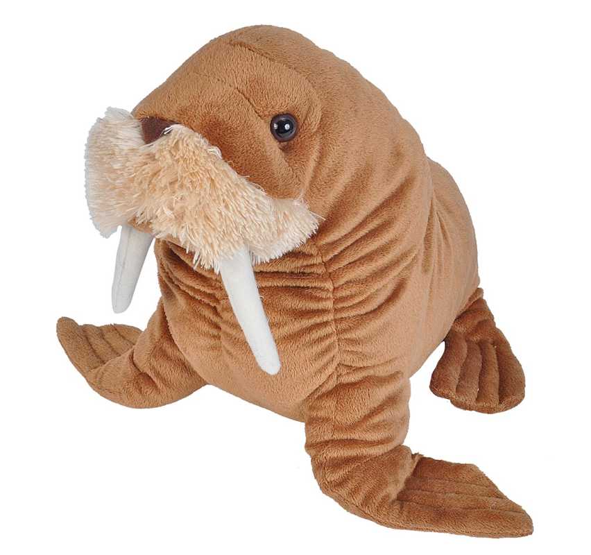 Plüsch Walross 30 cm Cuddlekin