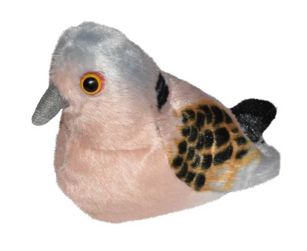 Plüsch Turteltaube singend RSPB Birds