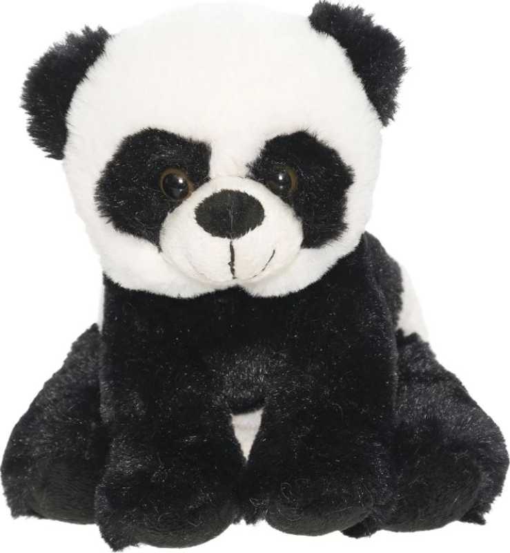 2585