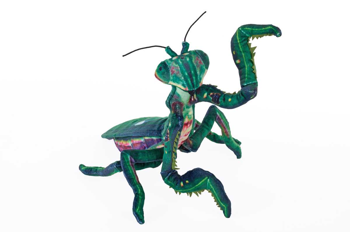 Plüsch Praying Mantis (Gottesanbeter)