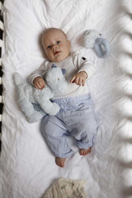 Plüsch Dino blau 30 cm