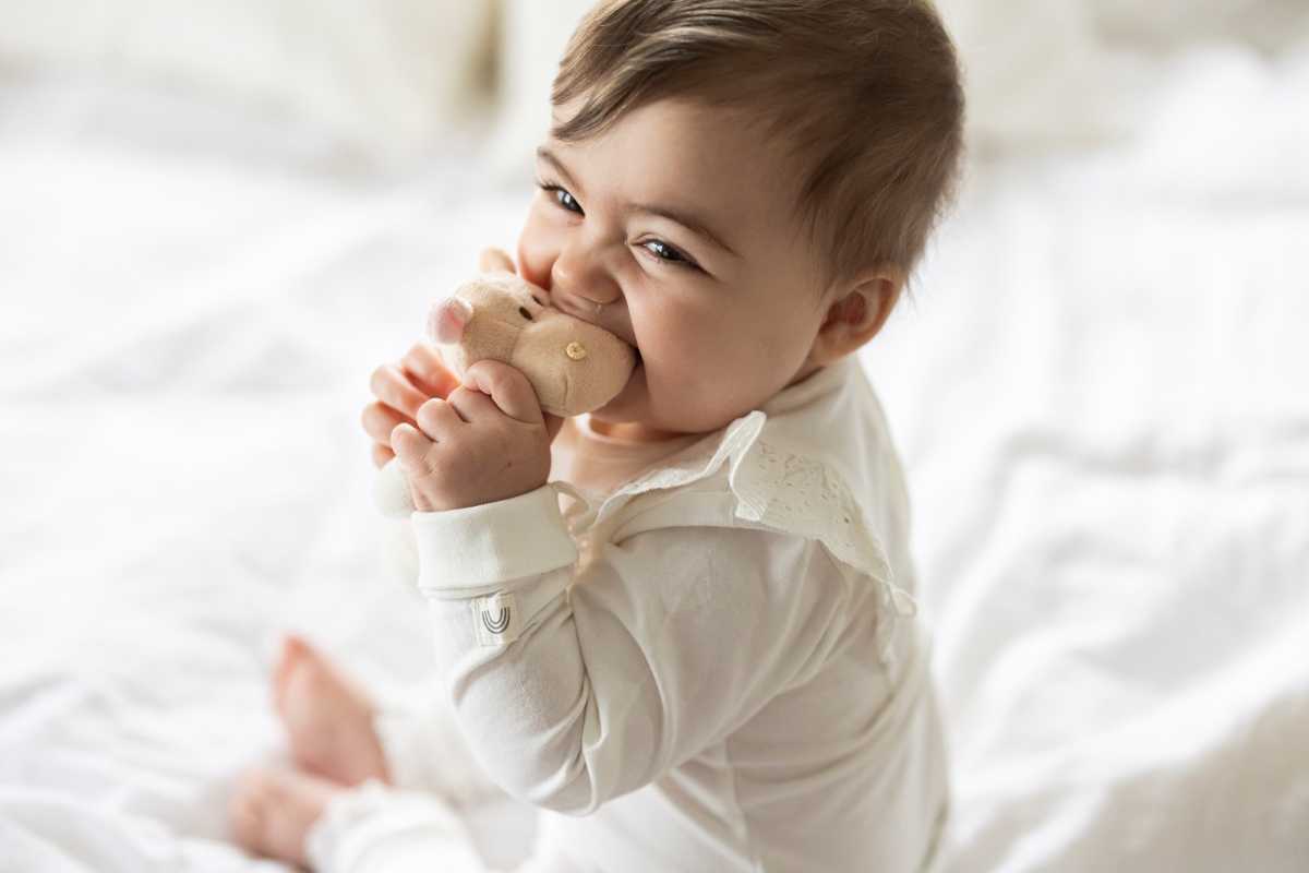 Rassel Nilpferd apricot 14 cm