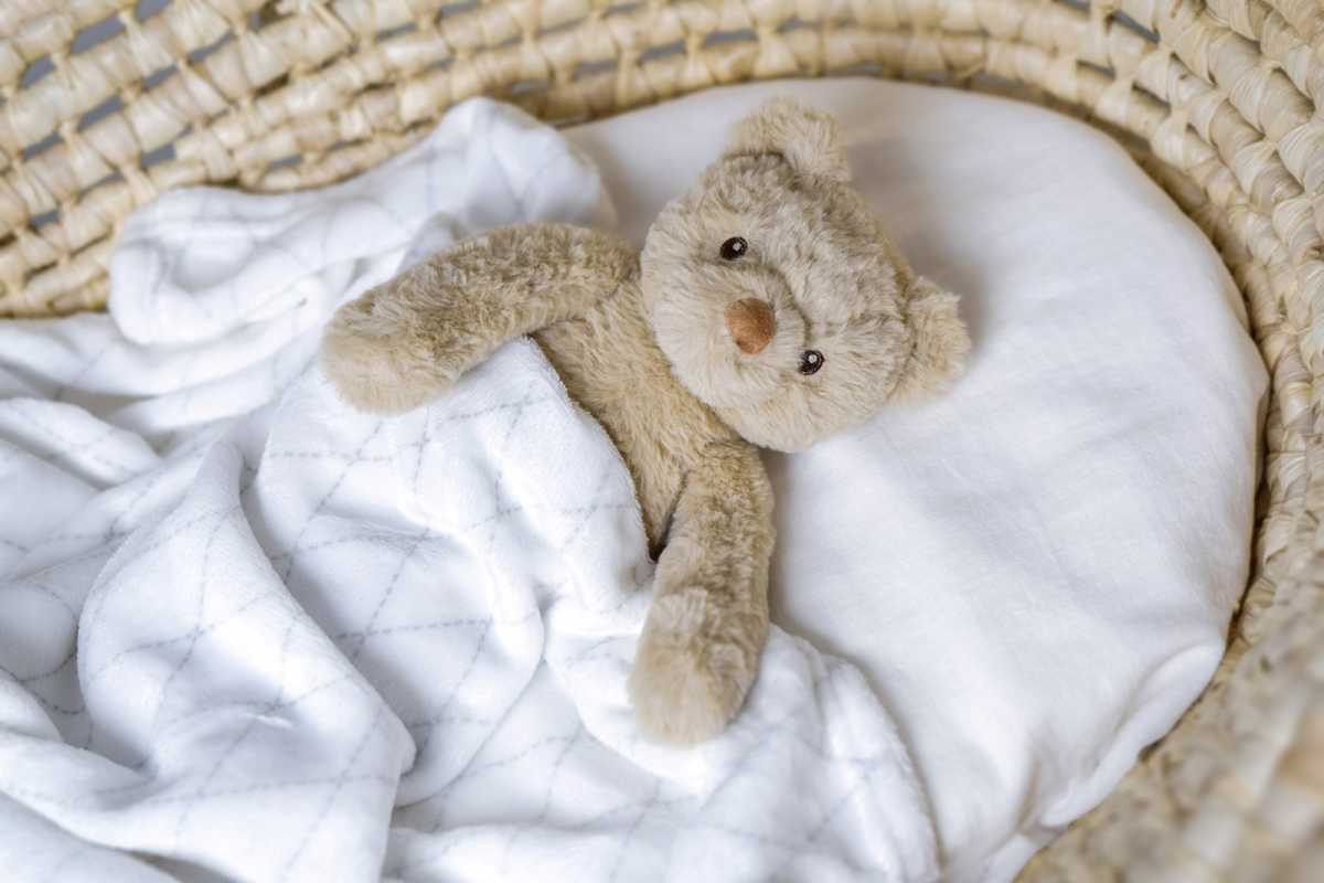 Plüsch Teddy Sven 30 cm mit Fleecedecke