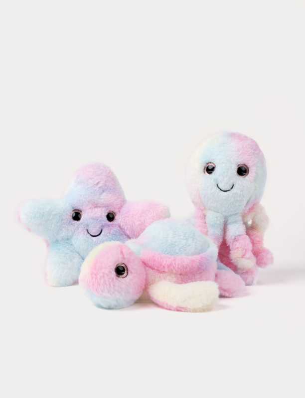 Seestern regenbogenfarbig 22  cm