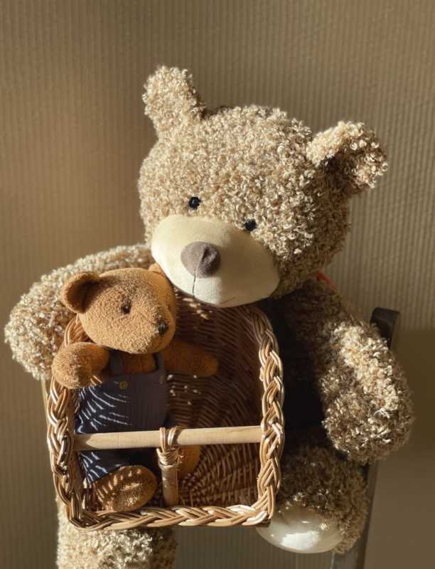 Fahrradsitz für Puppen